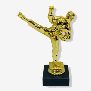 Karate Trophy — Couple