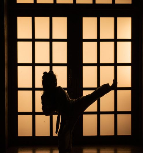 pexels-cottonbro-studio-8038021 pexels-cottonbro-studio-8038021